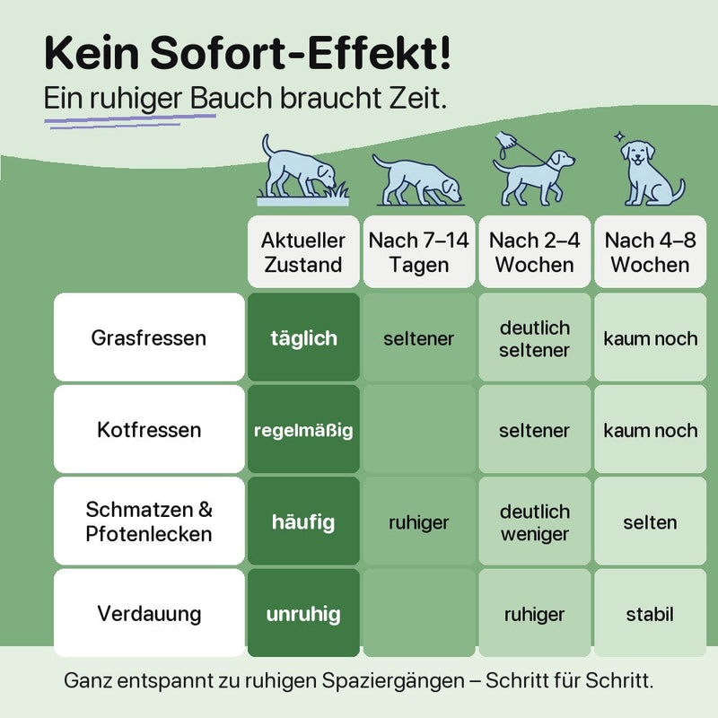 Kein Sofort-Effekt: was sich nach 7–14 Tagen, 2–4 Wochen und 4–8 Wochen verändert
