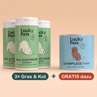 3er Set mit 1 Geschenk-Dose gratis