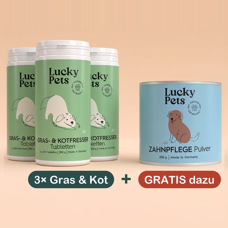 3er Set mit 1 Geschenk-Dose gratis