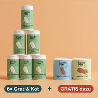 6er Set mit 2 Geschenk-Dosen gratis