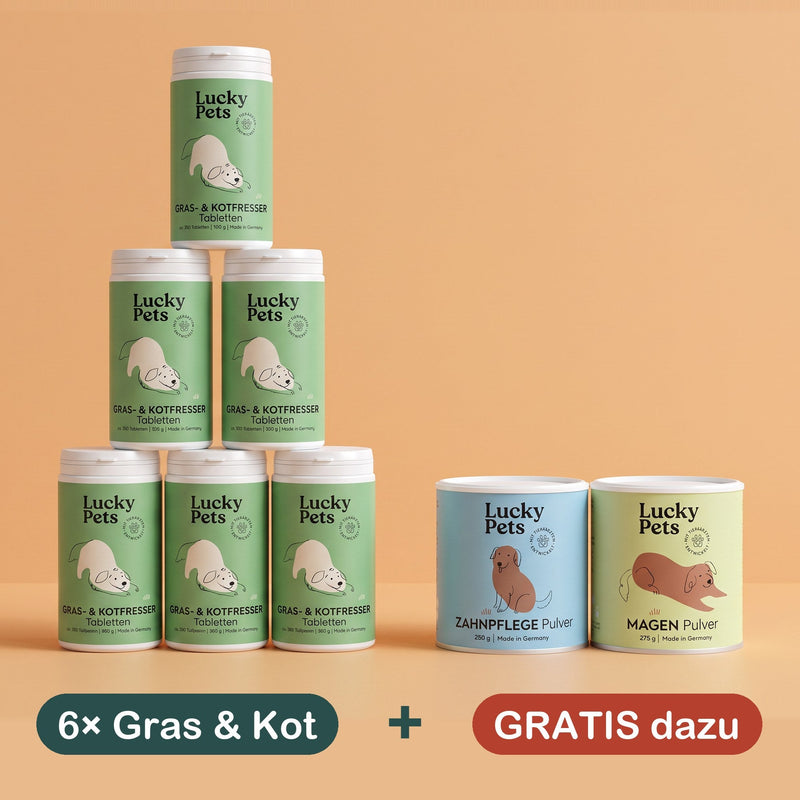 6er Set mit 2 Geschenk-Dosen gratis