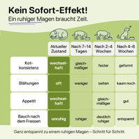 Kein Sofort-Effekt: was sich nach 7–14 Tagen, 2–4 Wochen und 4–8 Wochen verändert