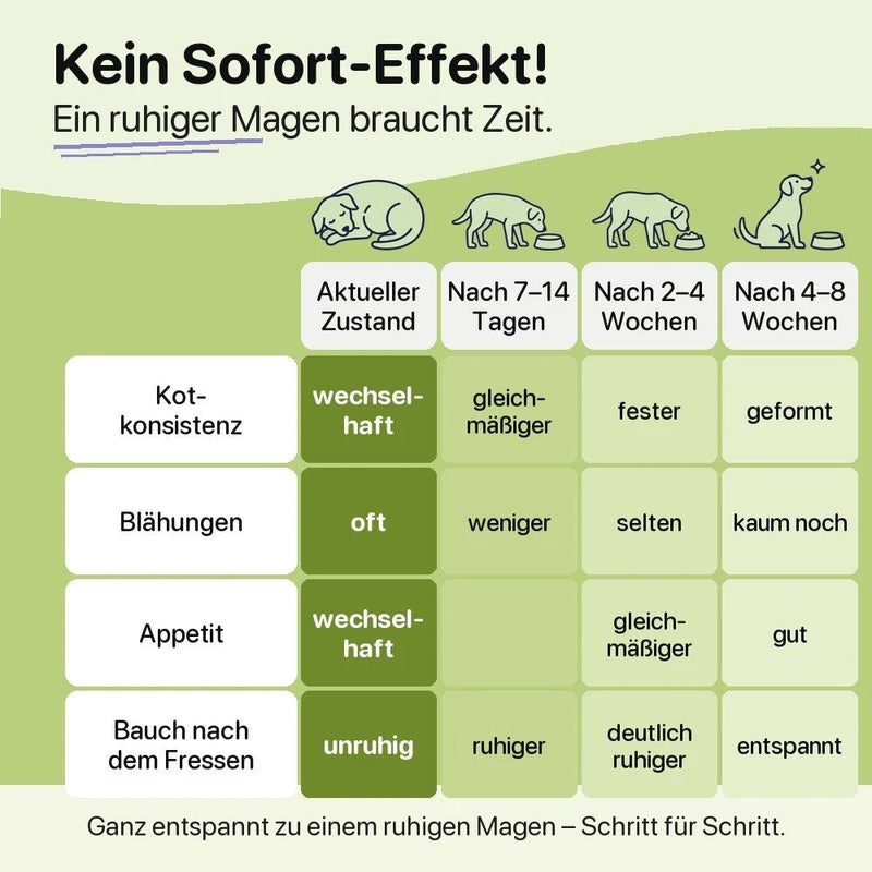 Kein Sofort-Effekt: was sich nach 7–14 Tagen, 2–4 Wochen und 4–8 Wochen verändert