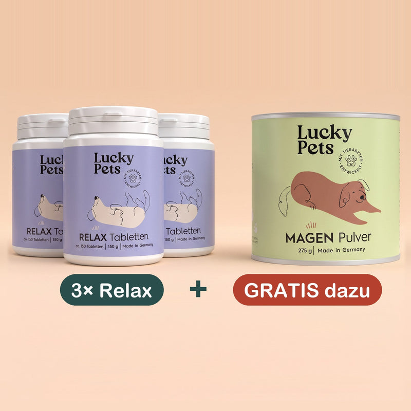 3er Set mit 1 Geschenk-Dose gratis