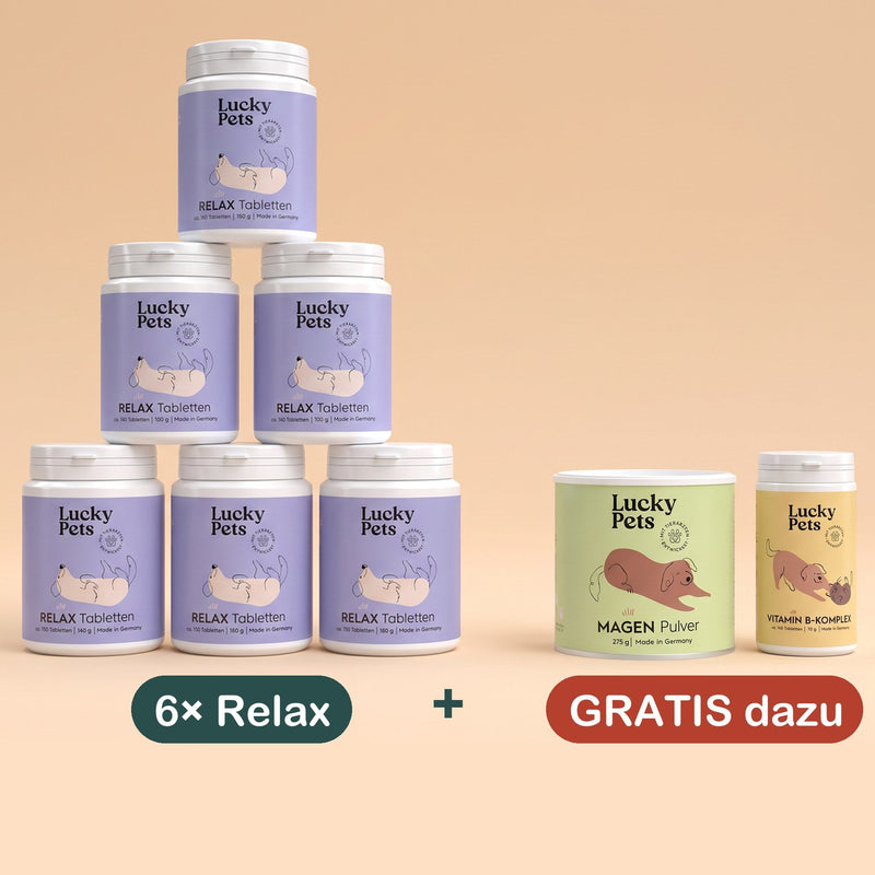 6er Set mit 2 Geschenk-Dosen gratis