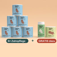 6er Set mit 2 Geschenk-Dosen gratis