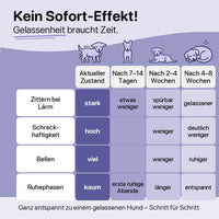 Kein Sofort-Effekt: was sich nach 7–14 Tagen, 2–4 Wochen und 4–8 Wochen verändert