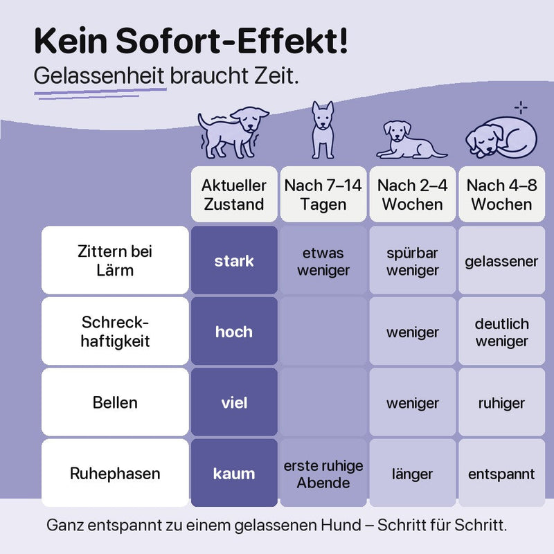 Kein Sofort-Effekt: was sich nach 7–14 Tagen, 2–4 Wochen und 4–8 Wochen verändert