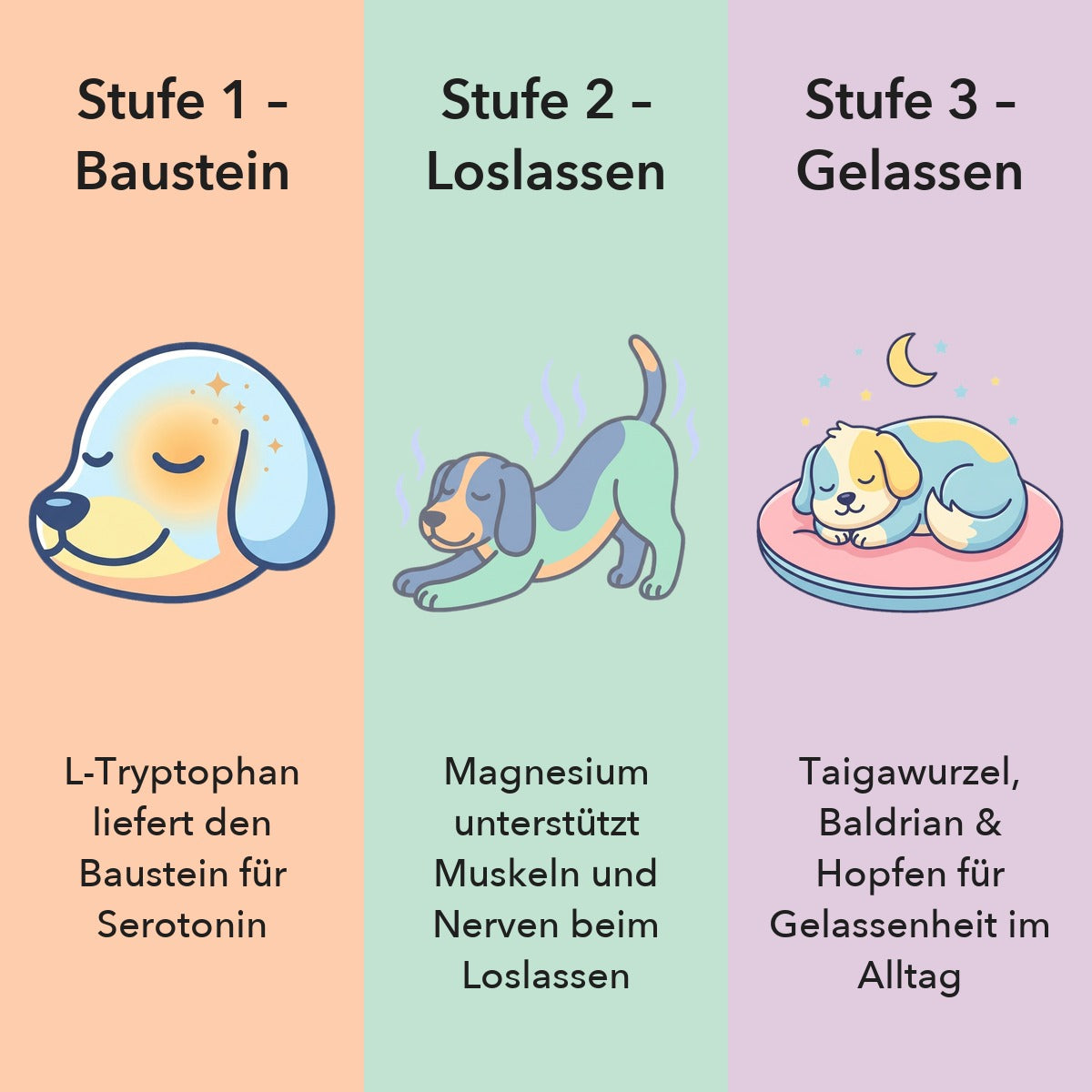 Stufe 1 – Tag 1–14: Den Baustein für Serotonin liefern. Stufe 2 – Woche 2–4: Magnesium für Muskeln und Nerven. Stufe 3 – Woche 4–8: Gelassenheit im Alltag.