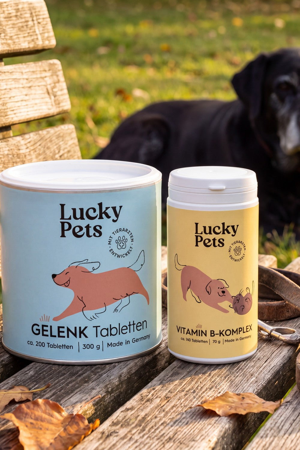 Gelenktabletten 300 g und Vitamin B-Komplex auf einer Gartenbank, dahinter ein alter schwarzer Labrador im Abendlicht
