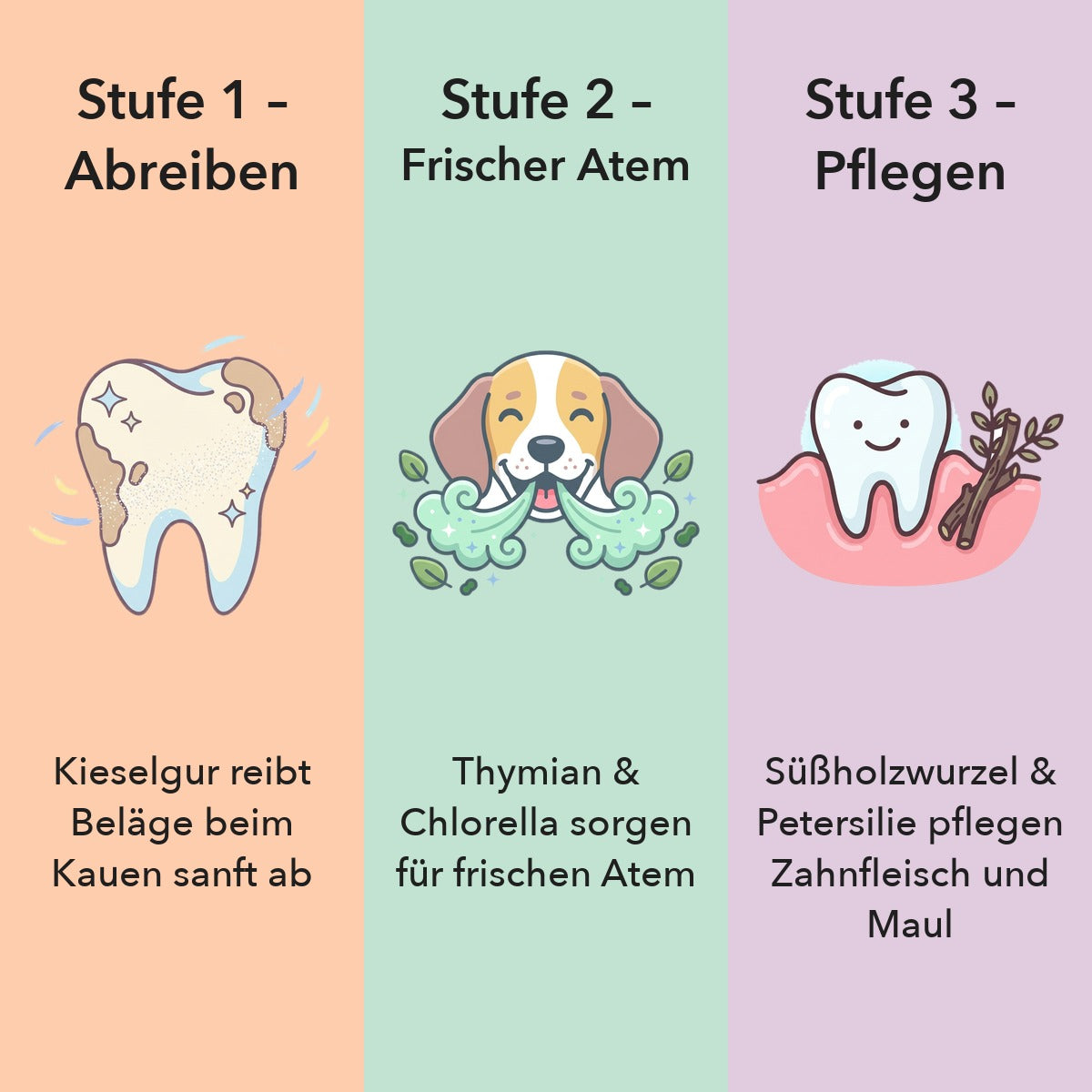 Stufe 1 – Woche 1–2: Beläge abreiben. Stufe 2 – Woche 2–4: Frischer Atem. Stufe 3 – Woche 4–8: Zahnfleisch und Maul pflegen.