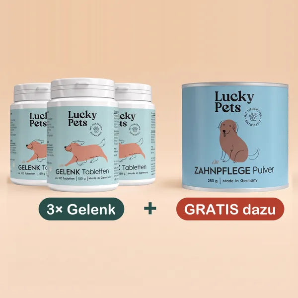 3er Set Gelenktabletten 150 g mit 1 Dose Zahnpflege-Pulver gratis