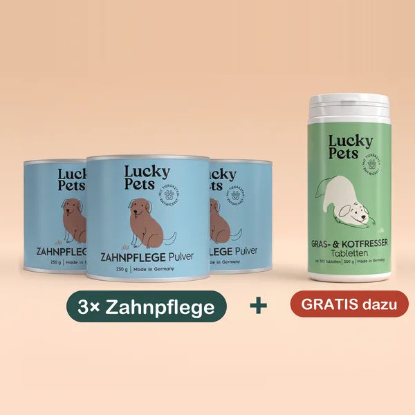3er Set Zahnpflegepulver mit 1 Dose Gras & Kotfresser Tabletten gratis