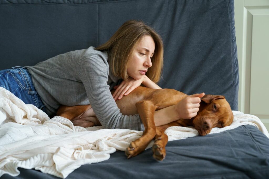 Dein Hund liegt matt im Bett? Vielleicht hat er Bauchweh?