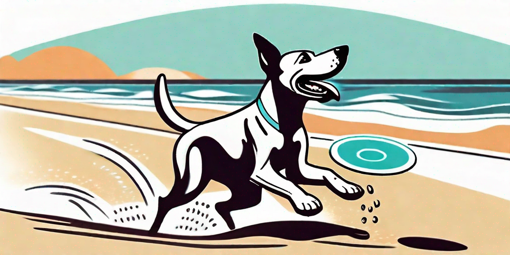 A cheerful dog playing with a frisbee on a sunny beach
