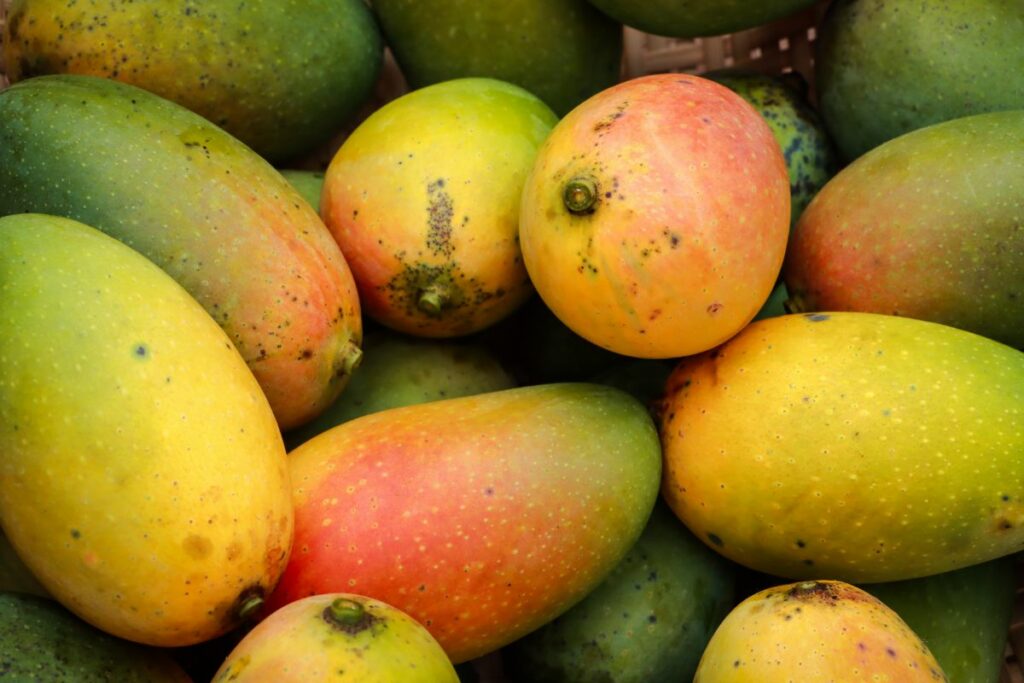 Viele Mangos liegen nebeneinander in einem Korb.