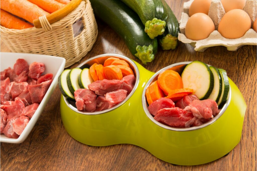 Verschiedene Lebensmittel sind in einem Futternapf. Darunter Fleisch, Karotten, Zucchini und Eier. 
