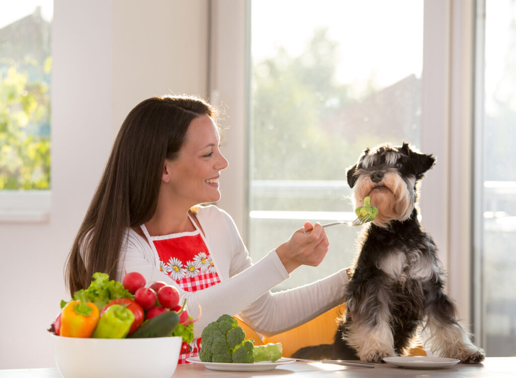 Glückliches Mädchen füttert Hund mit Brokkoli am Küchentisch