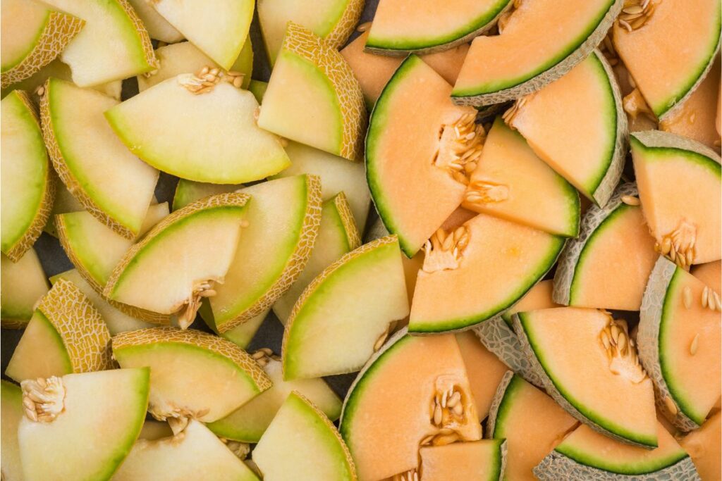 Dürfen Hunde Melone essen?