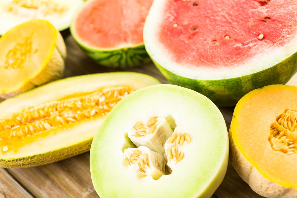 Dürfen Hunde Melone essen?